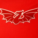 All Four Welsh Professional Clubs Sign PRA25 as Scarlets Complete Agreement