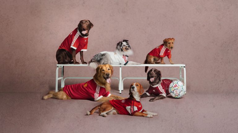 adidas Brings Club Football To Four-Legged Fans With New Pet Collection For Selected Clubs